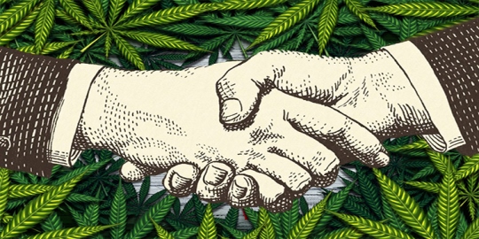Buy cannabis edibles in Canada